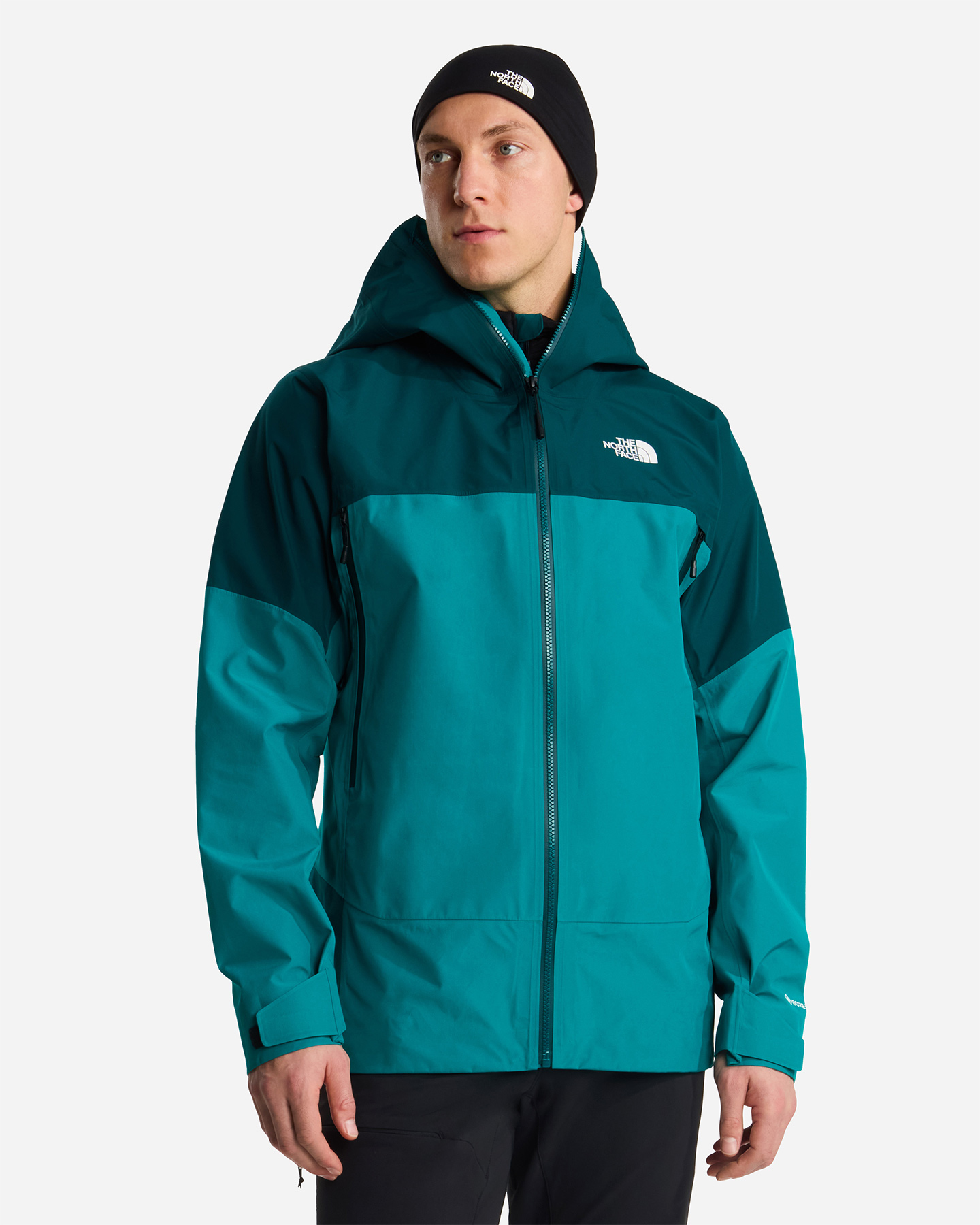 Giacca outdoor THE NORTH FACE JAZZI 3L GORE-TEX M - Verde - 2 | Cisalfa Sport