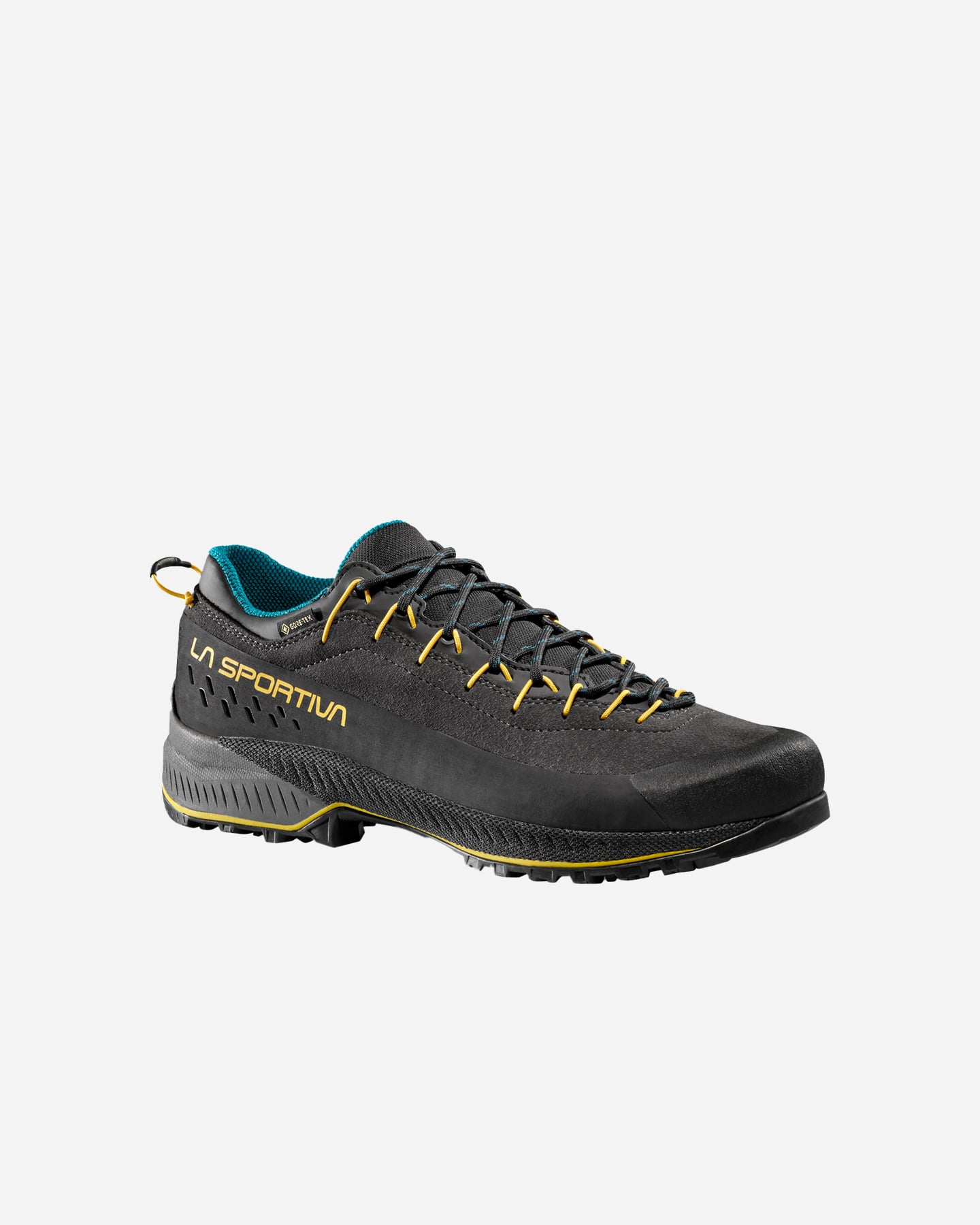 Scarpe trail LA SPORTIVA TX4 EVO GTX M - 1 | Cisalfa Sport