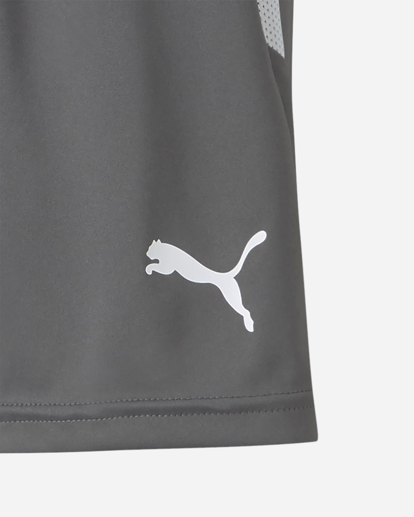 Pantaloncini PUMA LIGA JR - Grigio - 2 | Cisalfa Sport