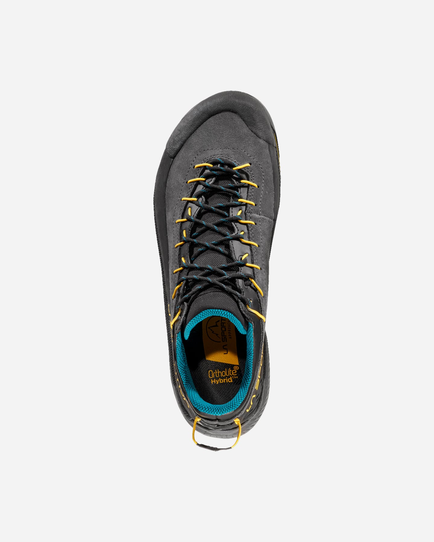 Scarpe trail LA SPORTIVA TX4 EVO GTX M - 2 | Cisalfa Sport