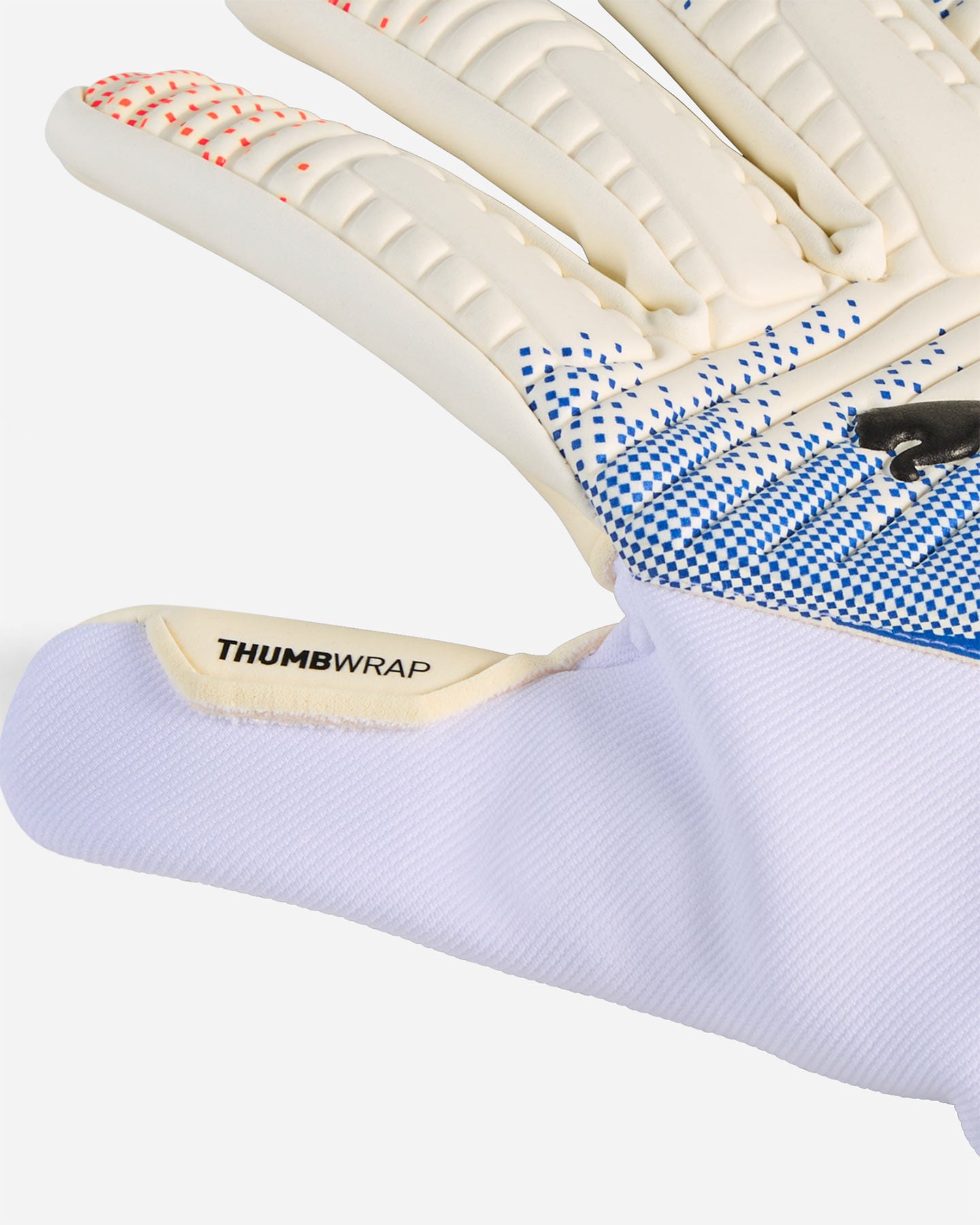 Guanti portiere PUMA FUTURE MATCH NC M - Color mix - 1 | Cisalfa Sport