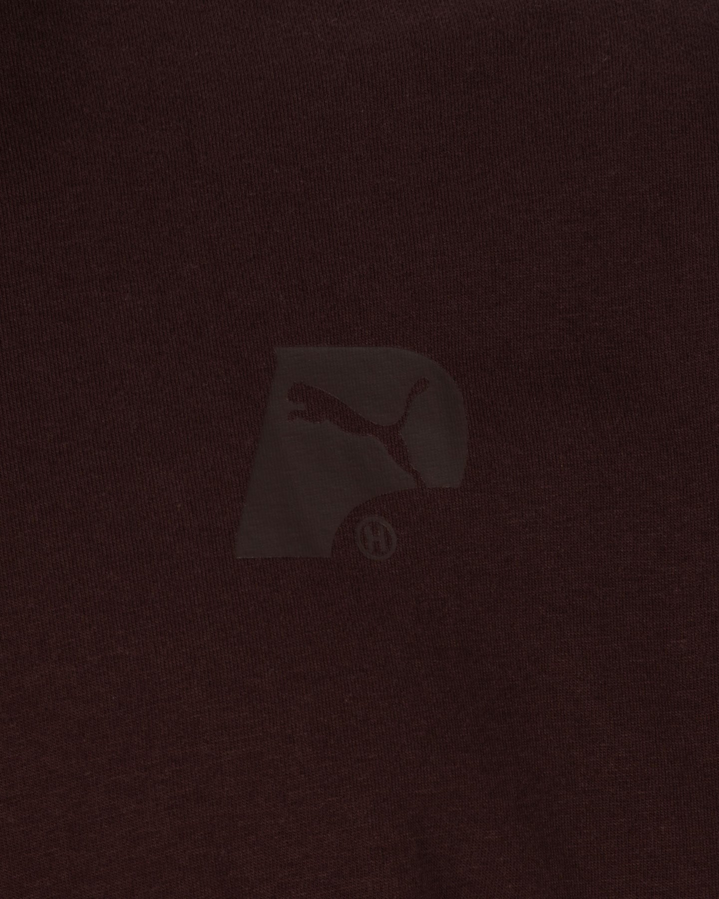 T-shirt PUMA HOOPS TEAM M - Marrone - 2 | Cisalfa Sport