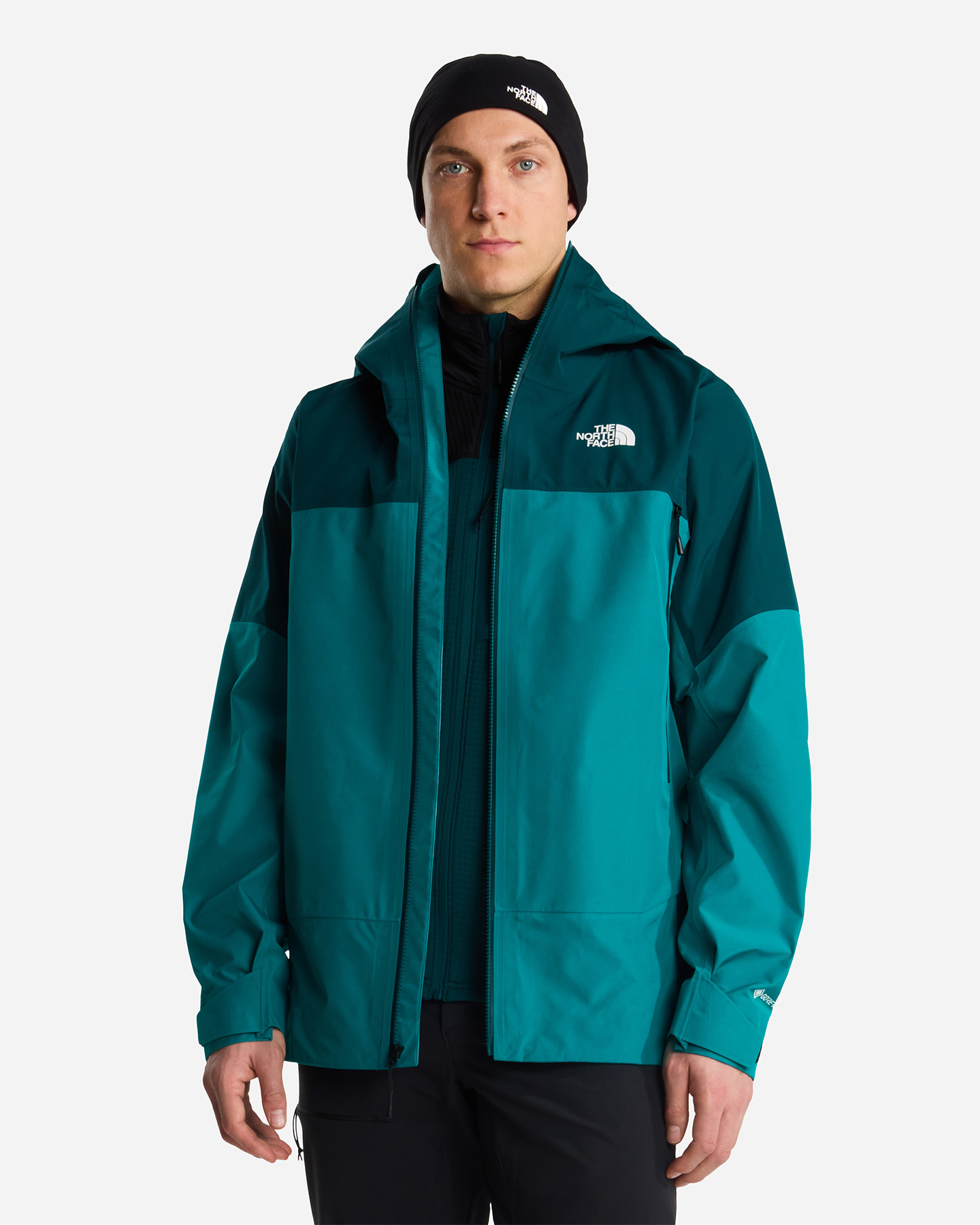 Giacca outdoor THE NORTH FACE JAZZI 3L GORE-TEX M - Verde - 3 | Cisalfa Sport