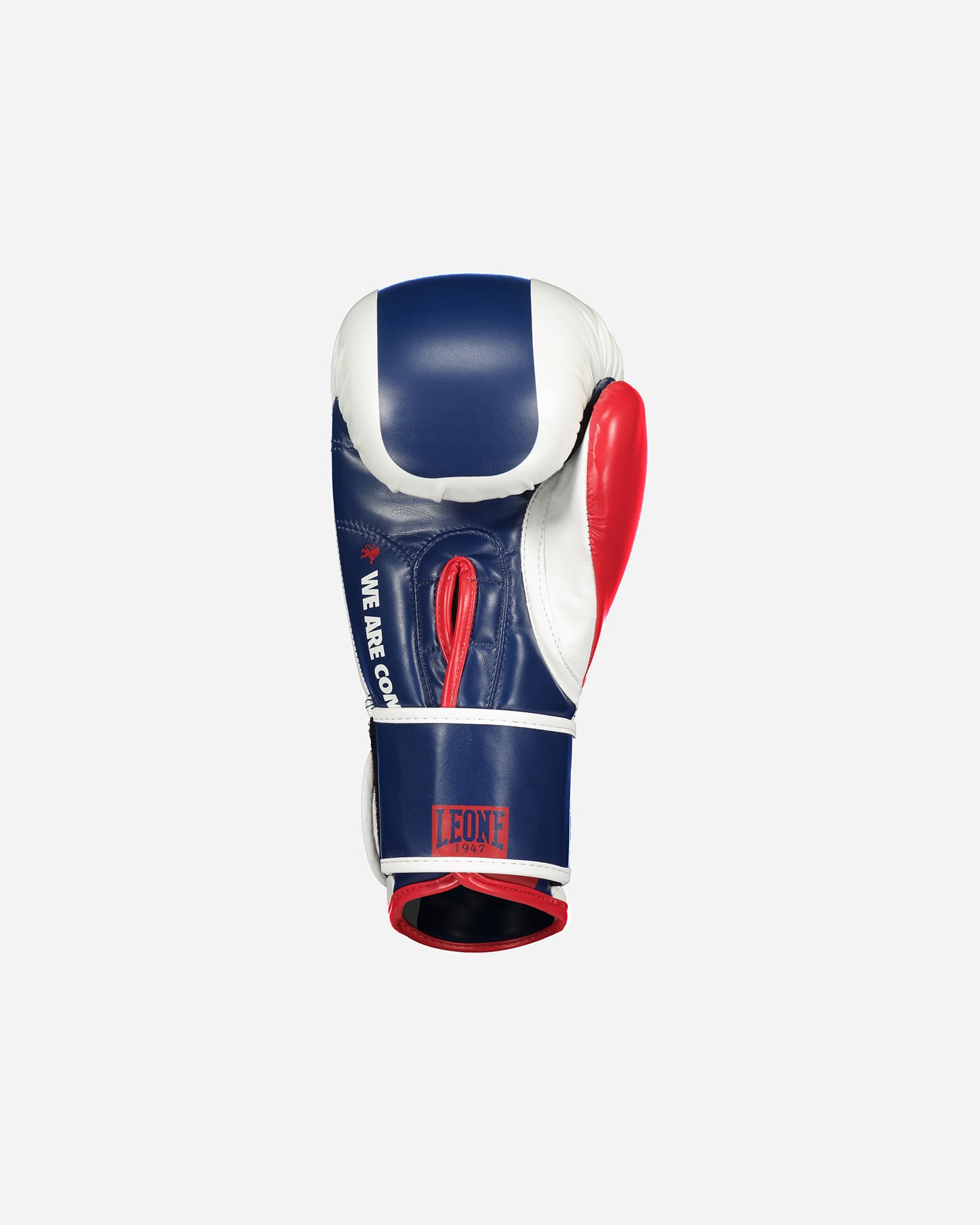 Guantoni boxe LEONE COLOR BLOCK  - Blu - 2 | Cisalfa Sport