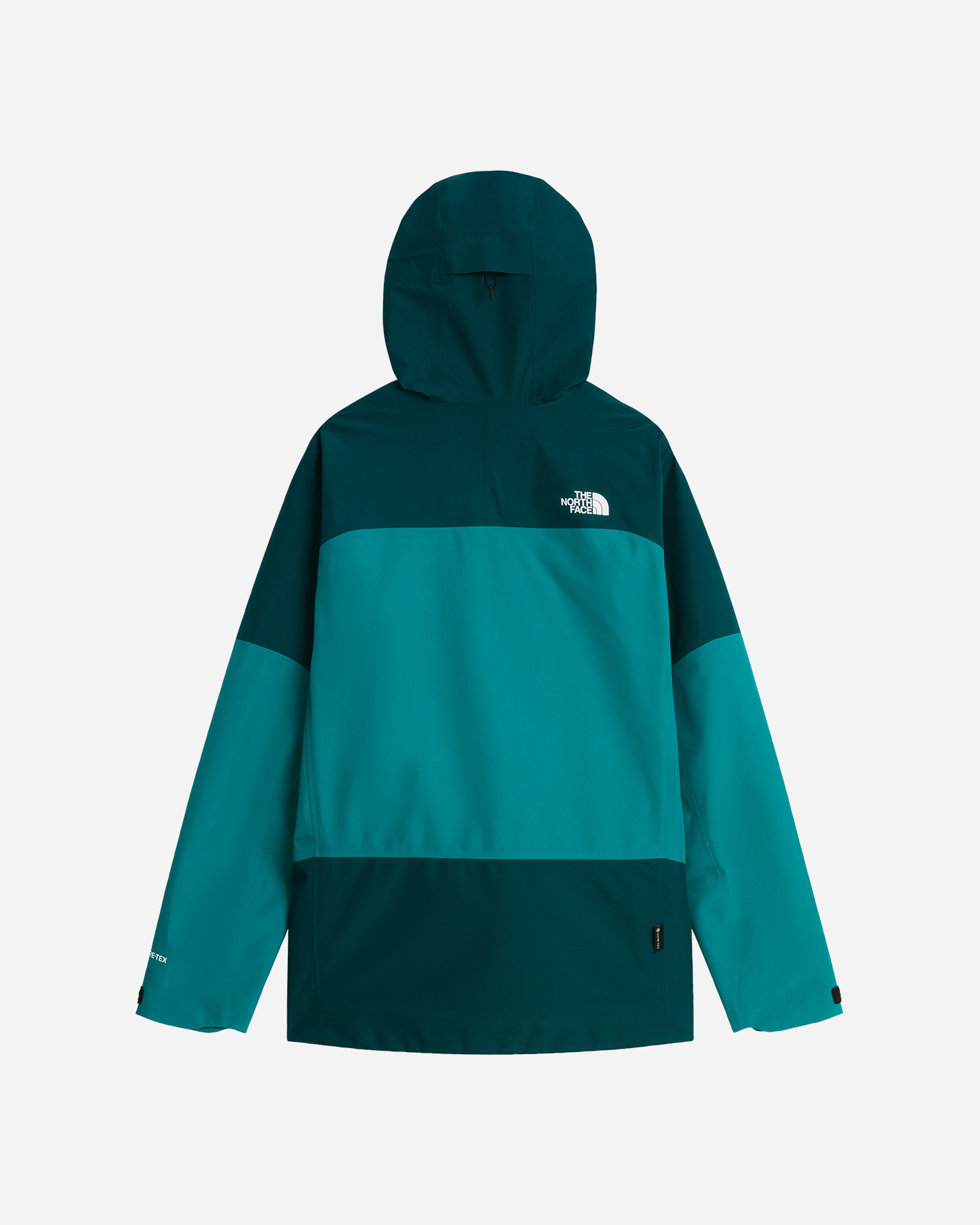 Giacca outdoor THE NORTH FACE JAZZI 3L GORE-TEX M - Verde - 1 | Cisalfa Sport