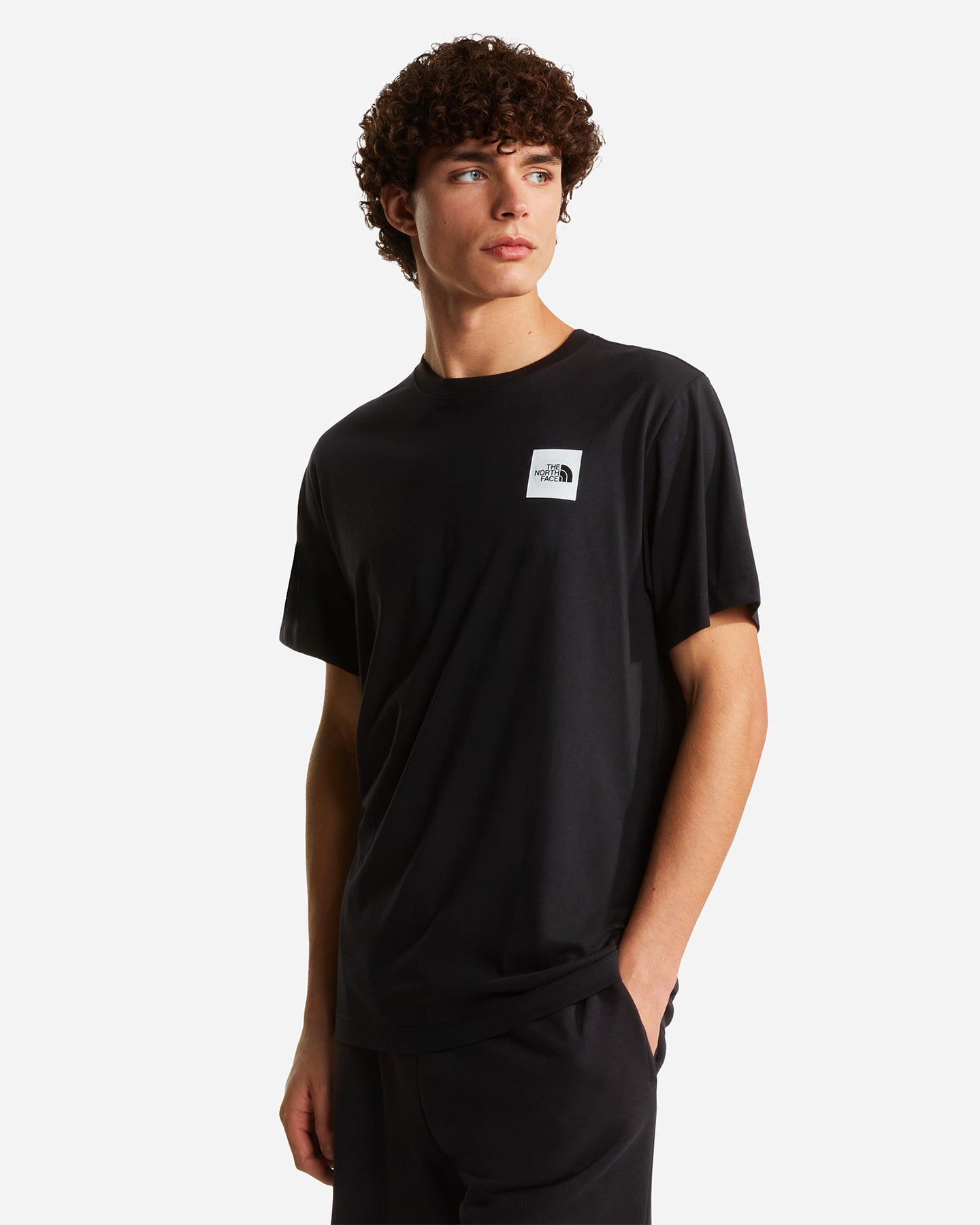 T-shirt THE NORTH FACE EVOLUTION BOX HALF DOME M - Nero - 2 | Cisalfa Sport